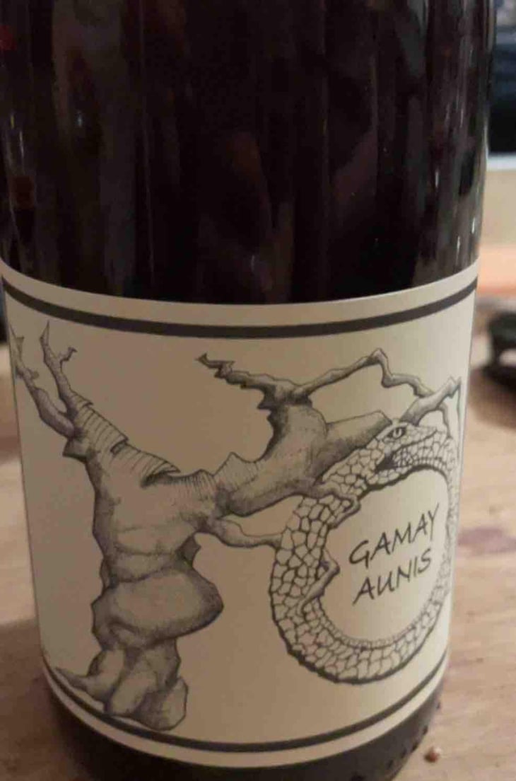Gamay Aunis - Jean-Christophe Garnier - Jean-Christophe Garnier 