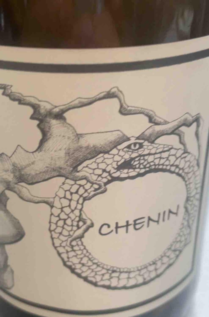 Gamay Aunis - Jean-Christophe Garnier - Jean-Christophe Garnier 