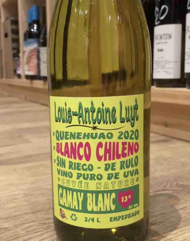 Gamay Blanc - Agricola Luyt - Louis-Antoine Luyt -2020