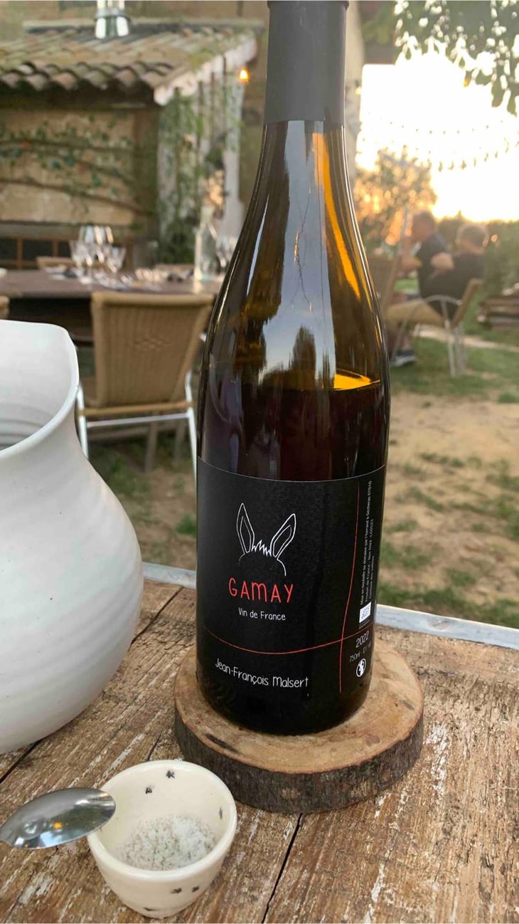 Gamay - Domaine de l'Iserand - Jean-François Malsert 