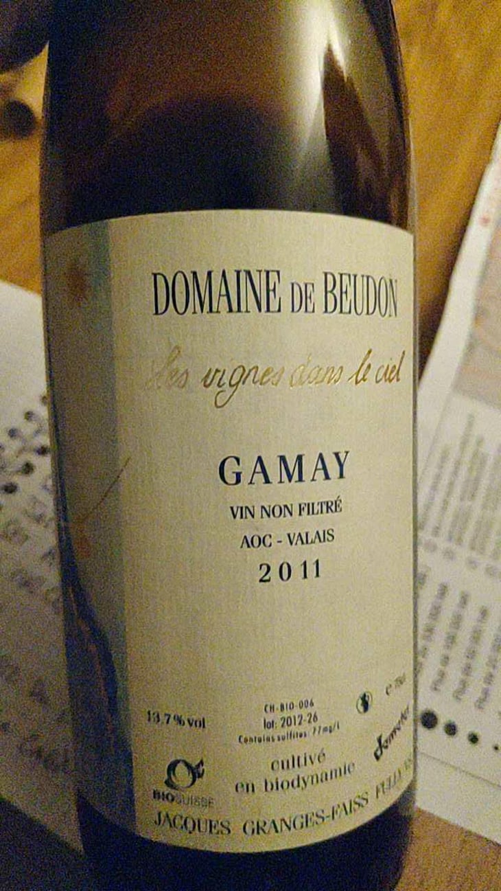 Gamay - Domaine de Beudon - Marion Granges-Fayss 