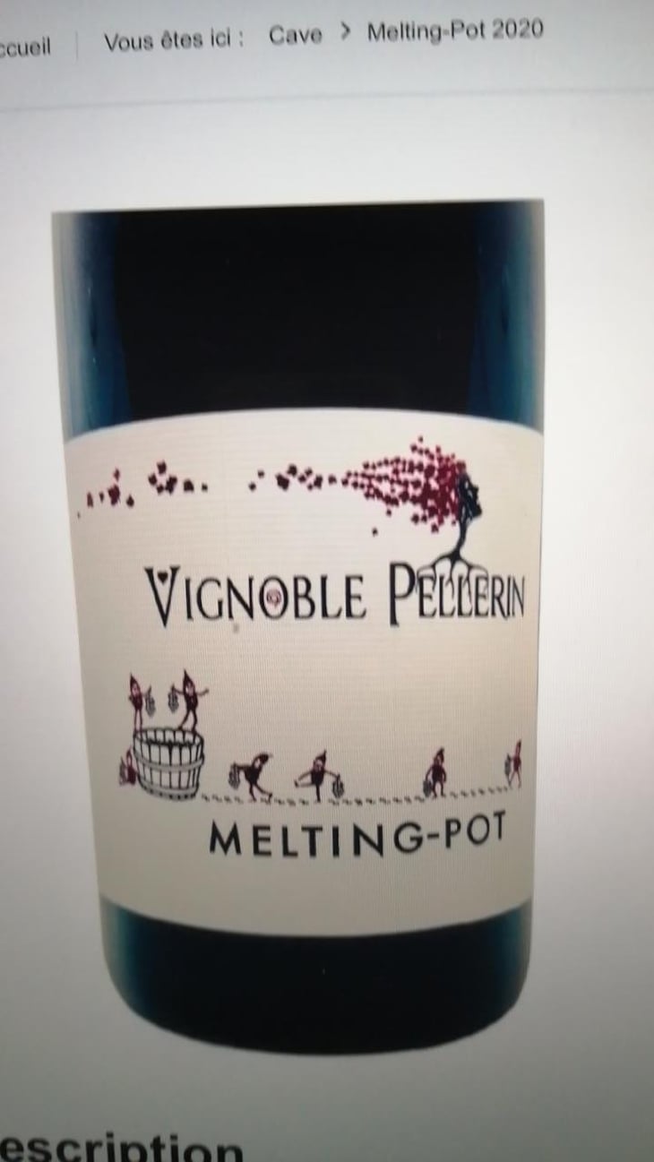 Gamay - Vignoble Pellerin - Jean-Christophe, Baptiste & Lucien Pellerin 