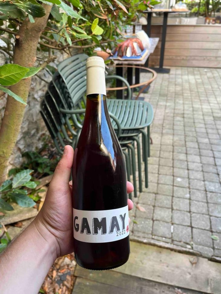 Gamay (new label) - Domaine Régnier-David - Jean-Francois Régnier 