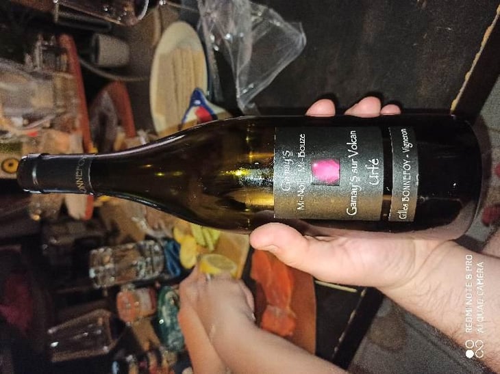 Gamay’s Mi-noir Mi-Bouze - Vins de la Madone - Gilles Bonnefoy 