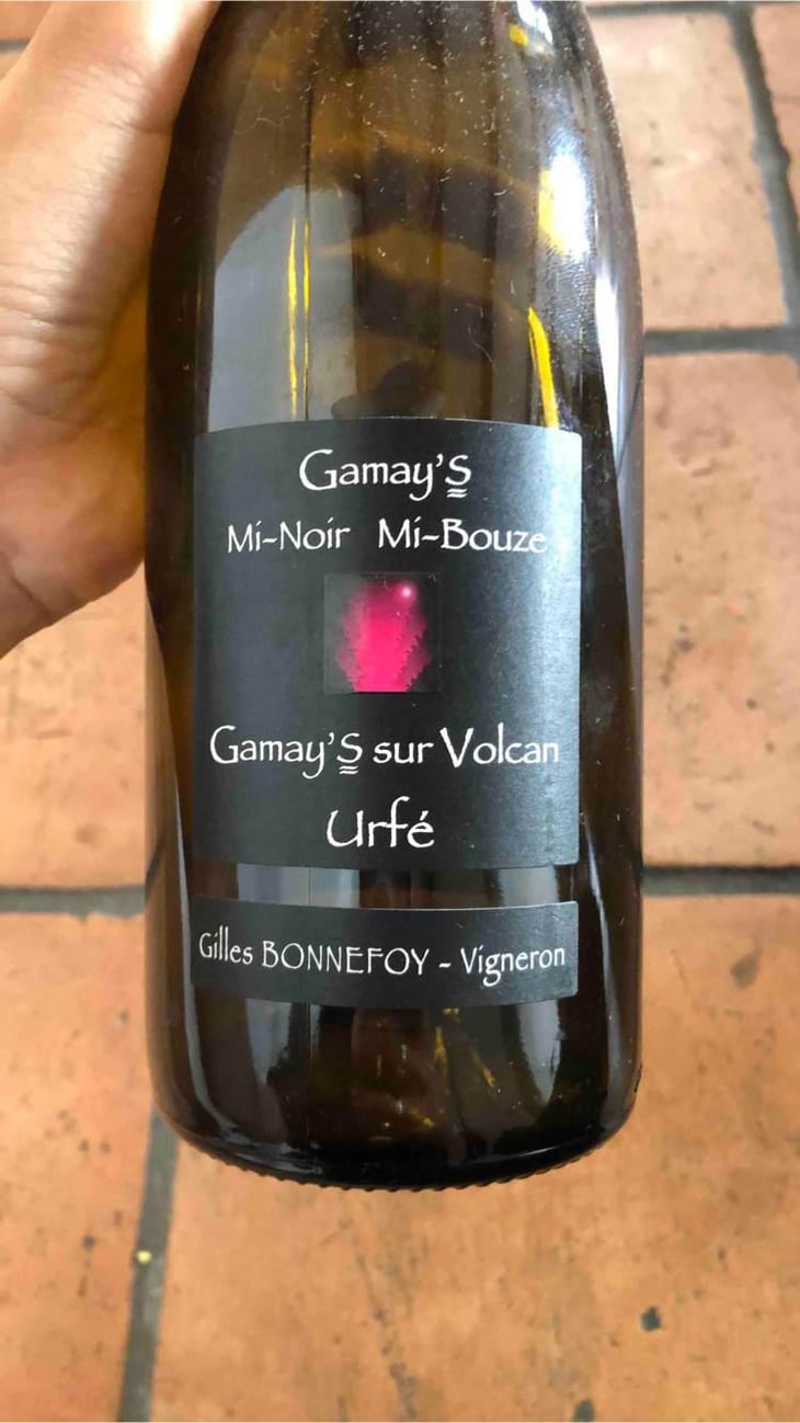 Gamay’s Mi-noir Mi-Bouze - Vins de la Madone - Gilles Bonnefoy 
