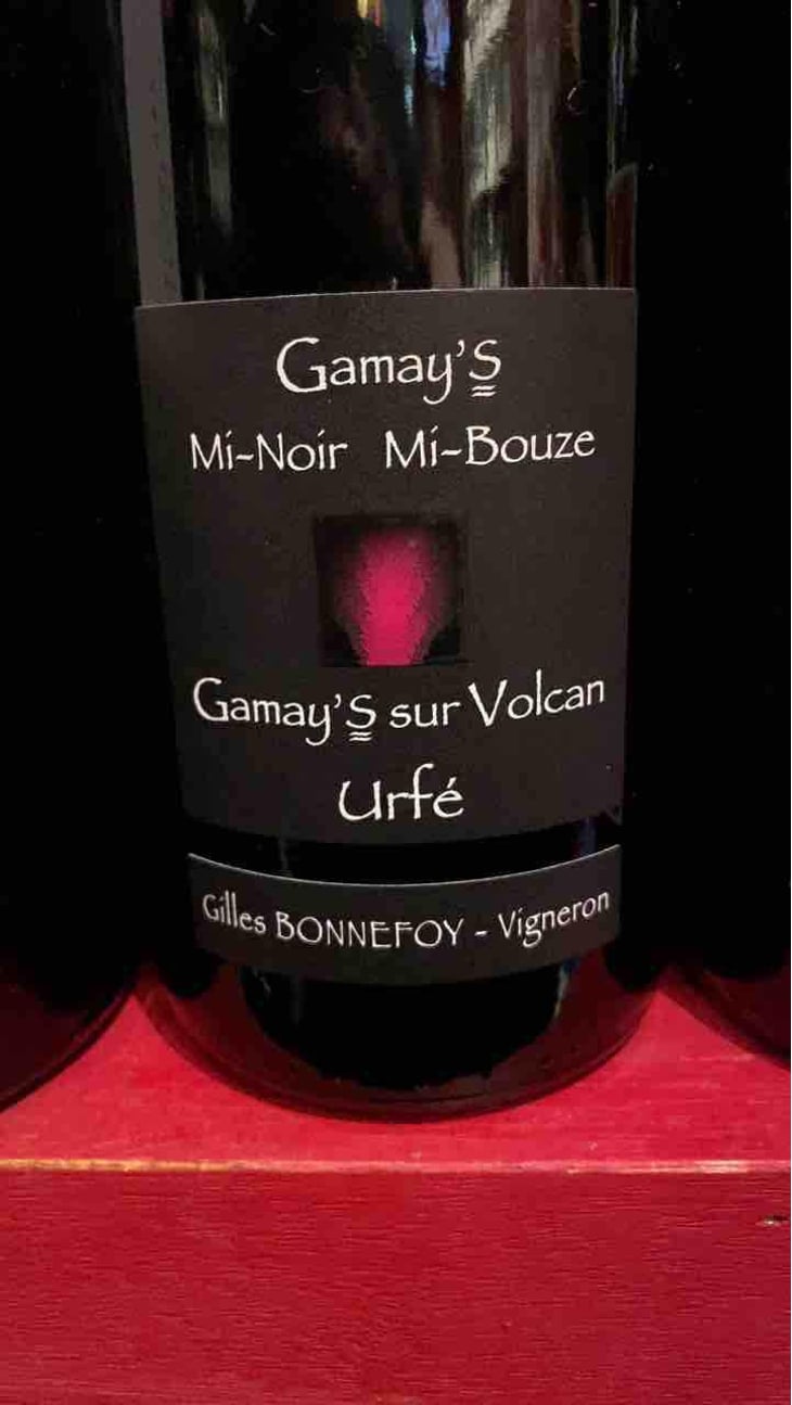Gamay’s Mi-noir Mi-Bouze - Vins de la Madone - Gilles Bonnefoy 