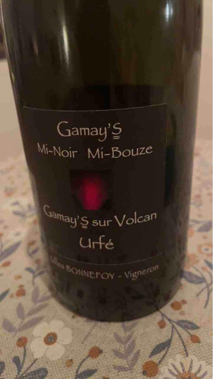 Gamay’s Mi-noir Mi-Bouze - Vins de la Madone - Gilles Bonnefoy 