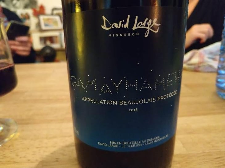 Gamayhameha - David Large - Célia Rostand et David Large 