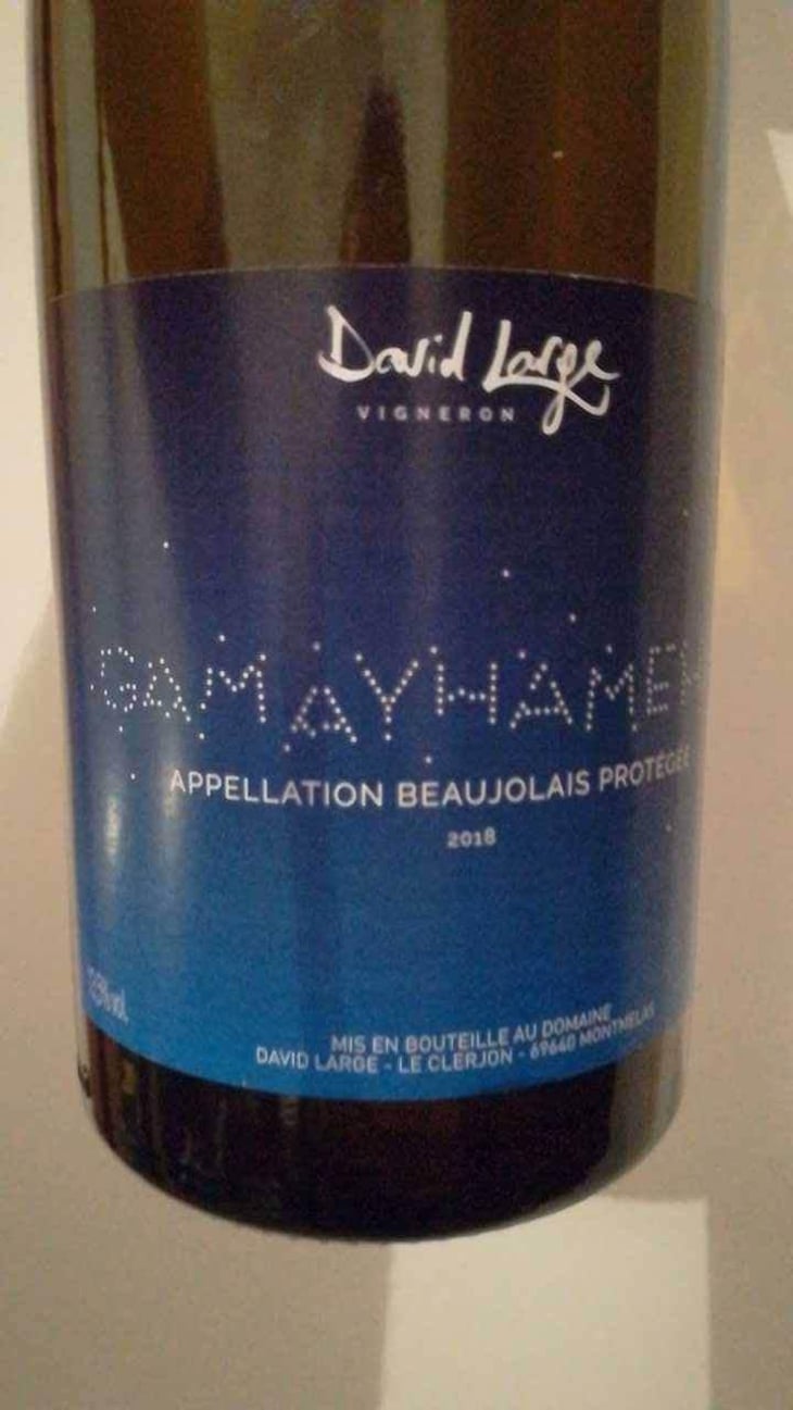 Gamayhameha - David Large - Célia Rostand et David Large 