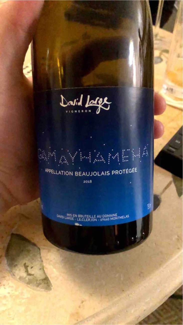 Gamayhameha - David Large - Célia Rostand et David Large 