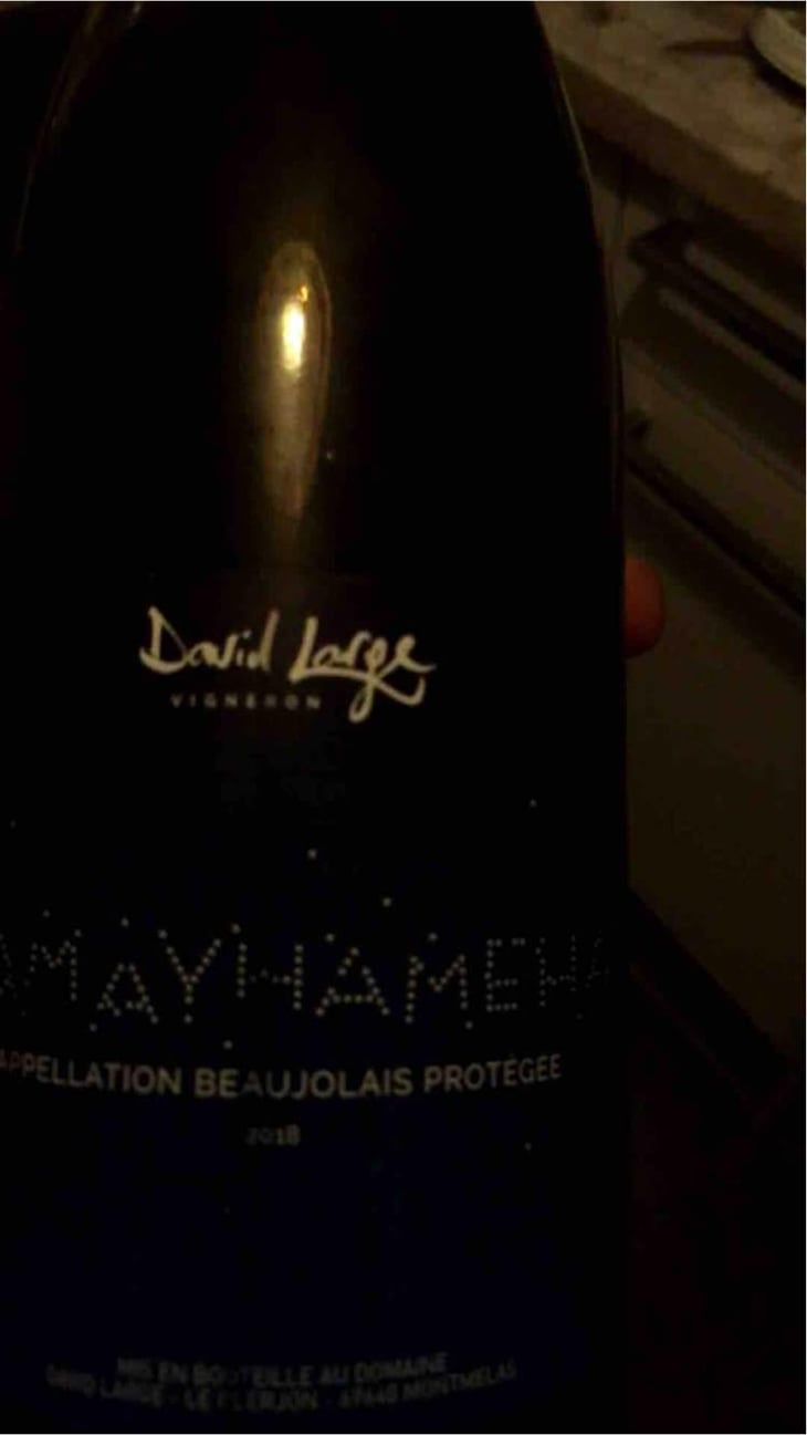 Gamayhameha - David Large - Célia Rostand et David Large 