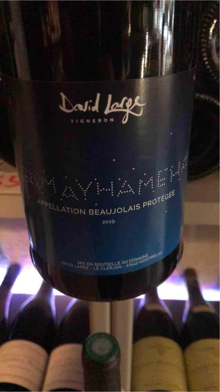Gamayhameha - David Large - Célia Rostand et David Large 