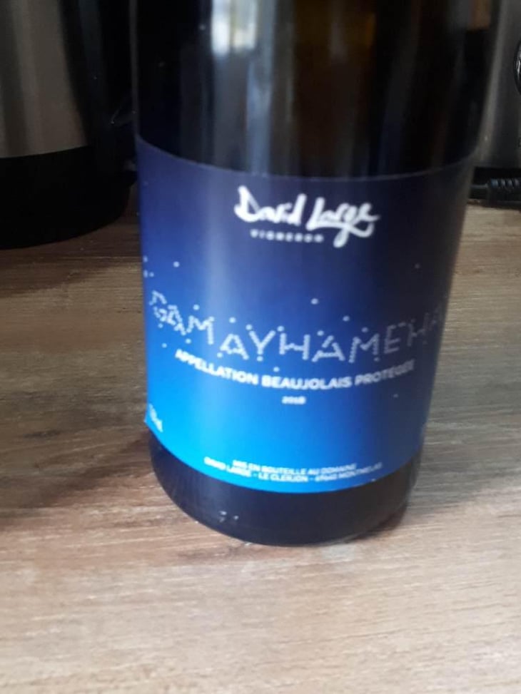 Gamayhameha - David Large - Célia Rostand et David Large 