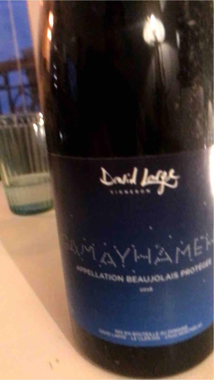 Gamayhameha - David Large - Célia Rostand et David Large 