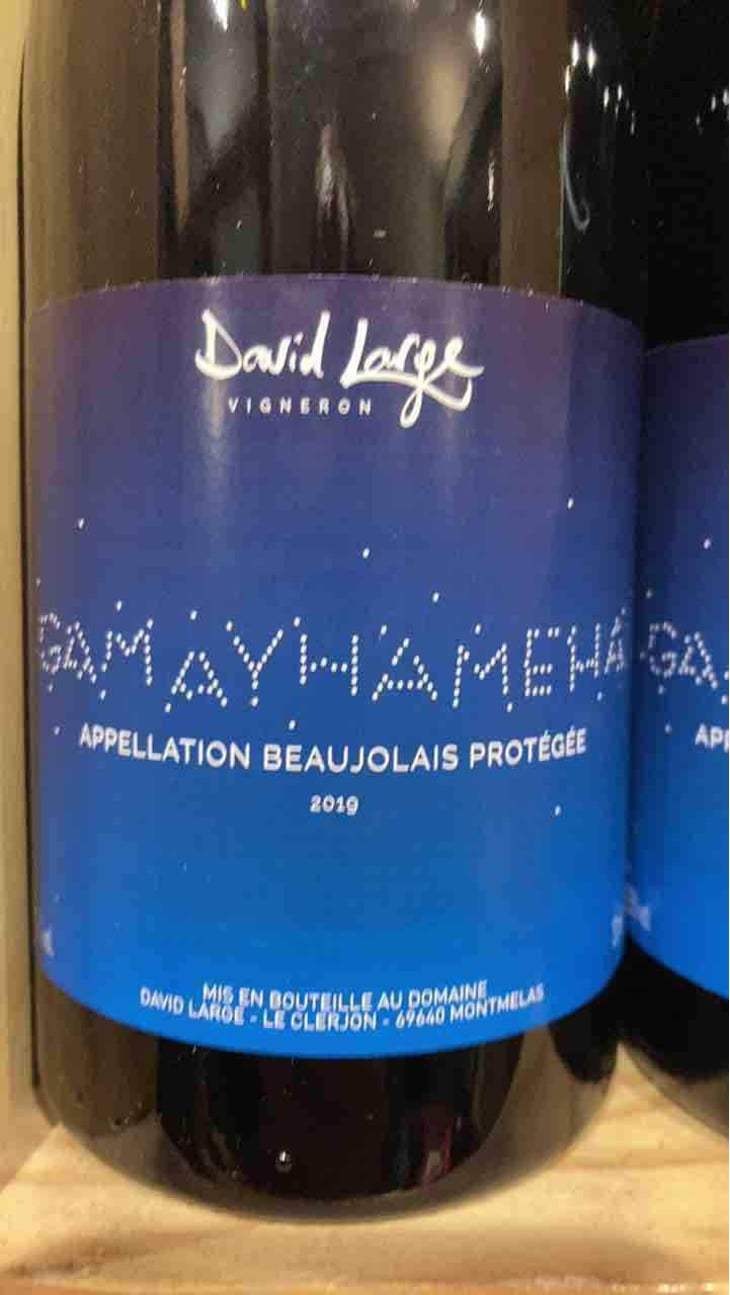 Gamayhameha - David Large - Célia Rostand et David Large 