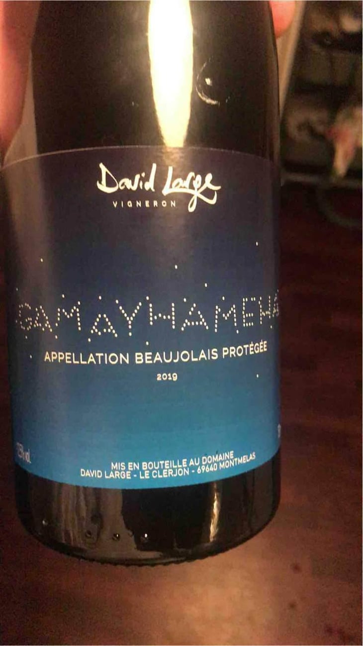 Gamayhameha - David Large - Célia Rostand et David Large 