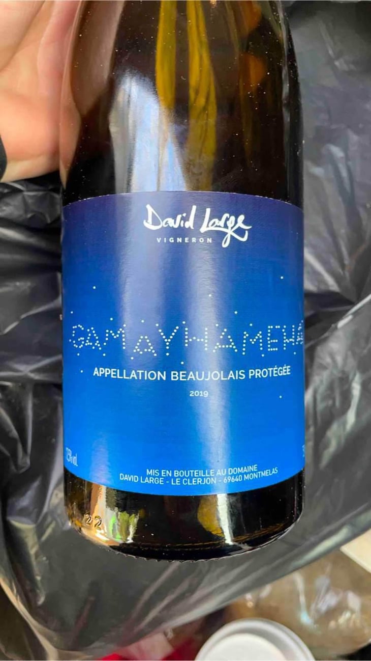 Gamayhameha - David Large - Célia Rostand et David Large 