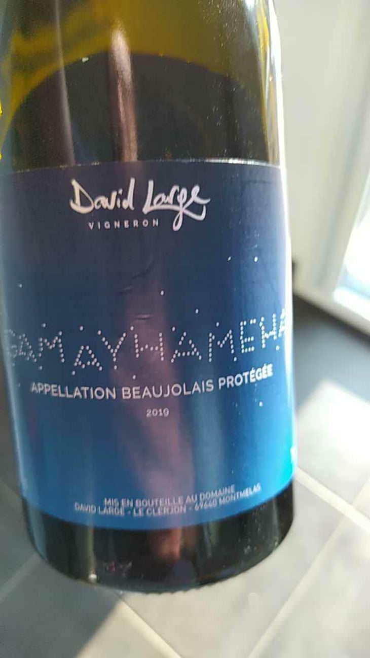 Gamayhameha - David Large - Célia Rostand et David Large 