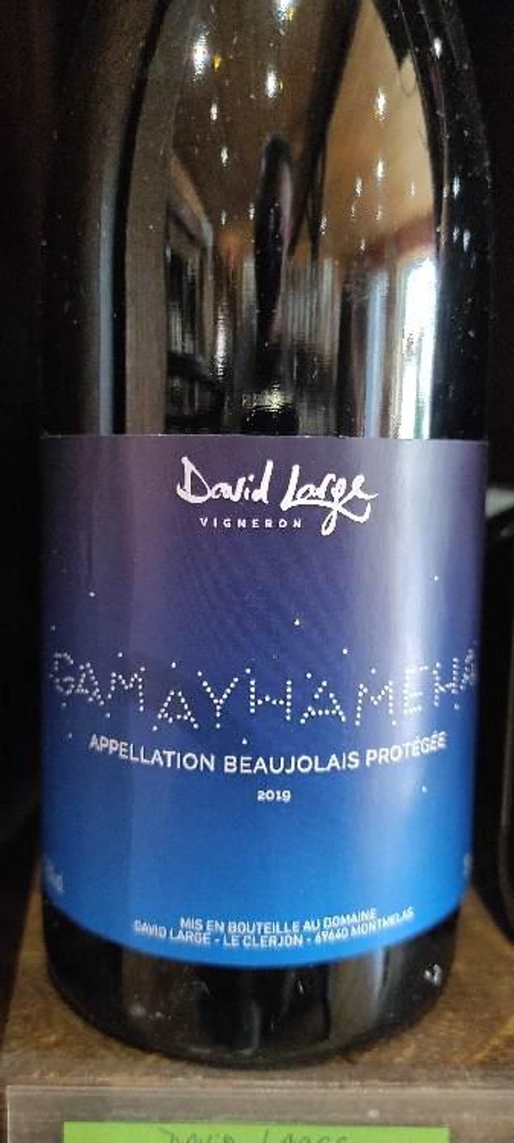 Gamayhameha - David Large - Célia Rostand et David Large 