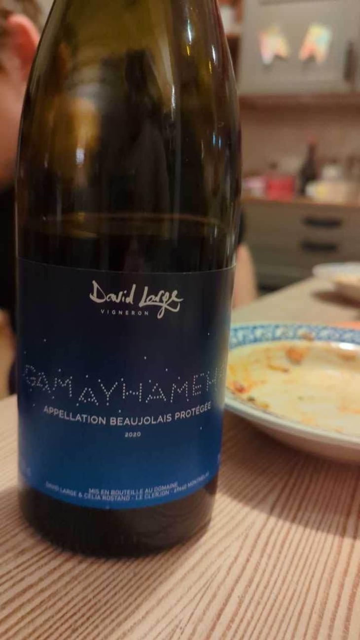 Gamayhameha - David Large - Célia Rostand et David Large 