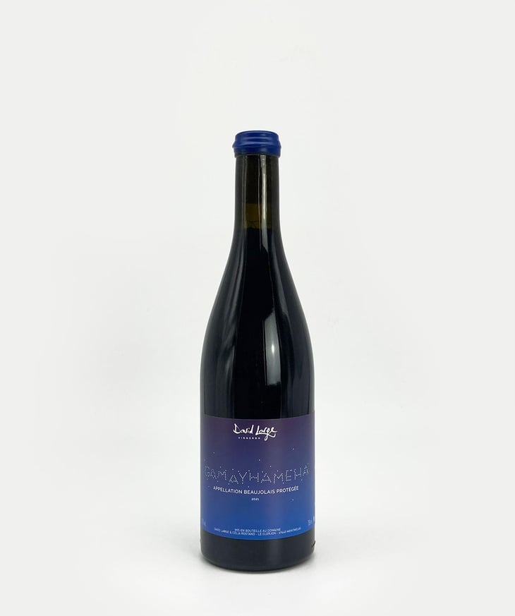 Gamayhameha - David Large - Célia Rostand et David Large 