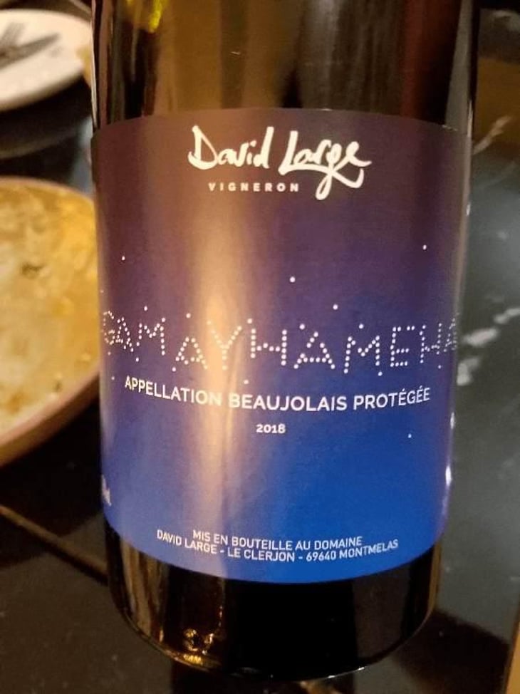 Gamayhameha - David Large - Célia Rostand et David Large 
