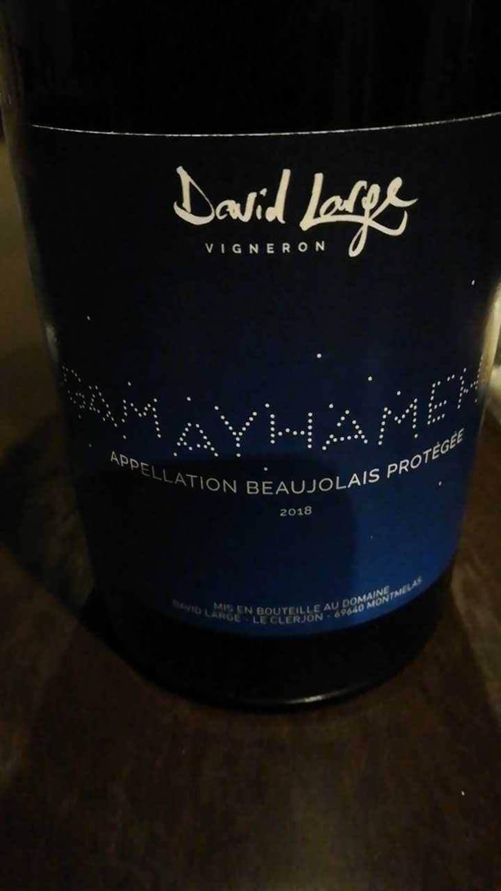 Gamayhameha - David Large - Célia Rostand et David Large 