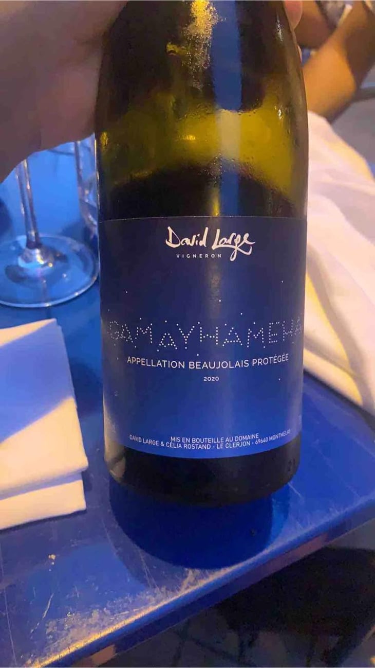 Gamayhameha - David Large - Célia Rostand et David Large 