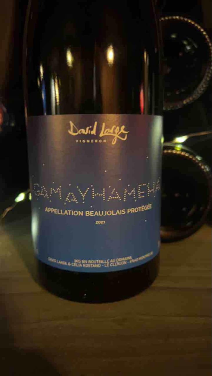 Gamayhameha - David Large - Célia Rostand et David Large 