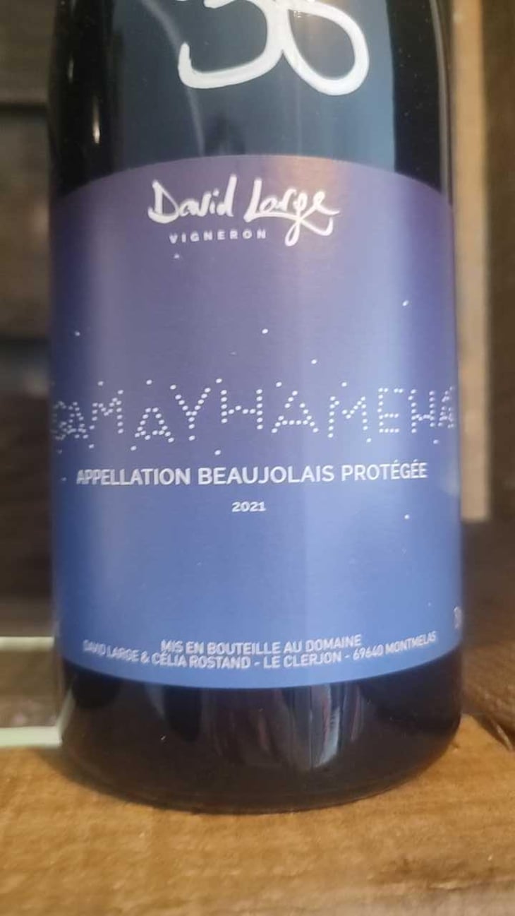 Gamayhameha - David Large - Célia Rostand et David Large 