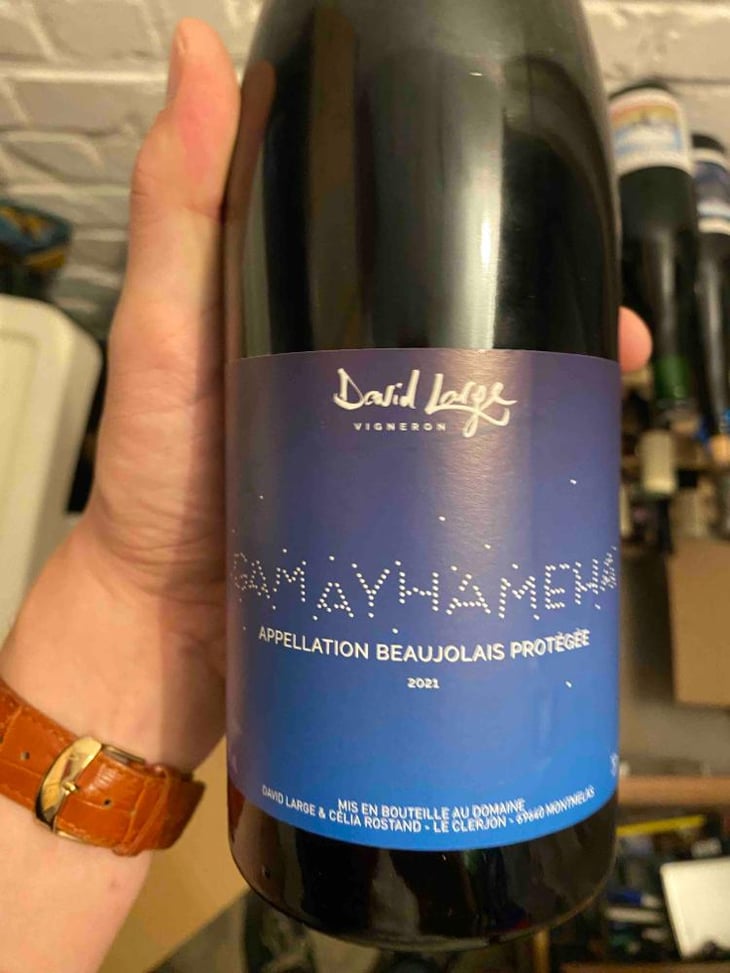 Gamayhameha - David Large - Célia Rostand et David Large 