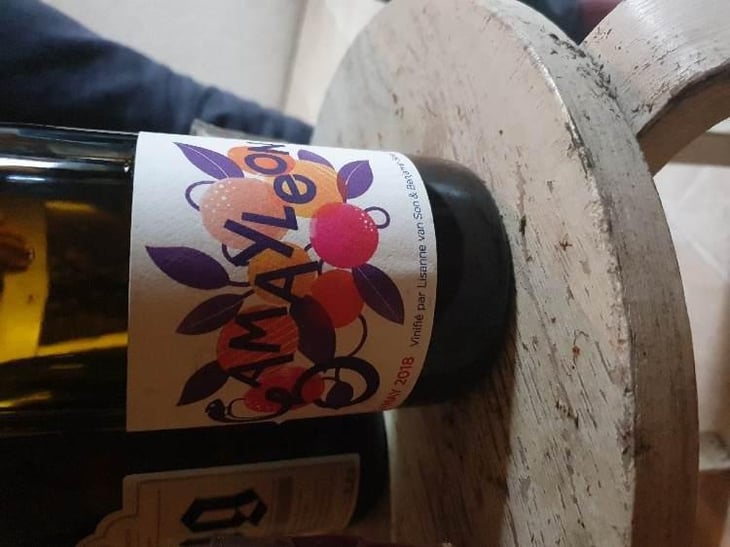 Gamayleon - Sonser Vins (CLOSED) - Lisanne Van Son & Benjamin Serer 
