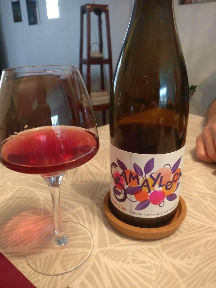 Gamayleon - Sonser Vins (CLOSED) - Lisanne Van Son & Benjamin Serer 