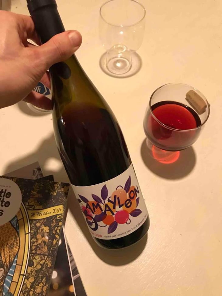 Gamayleon - Sonser Vins (CLOSED) - Lisanne Van Son & Benjamin Serer 
