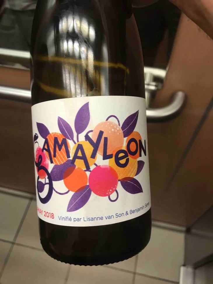 Gamayleon - Sonser Vins (CLOSED) - Lisanne Van Son & Benjamin Serer 