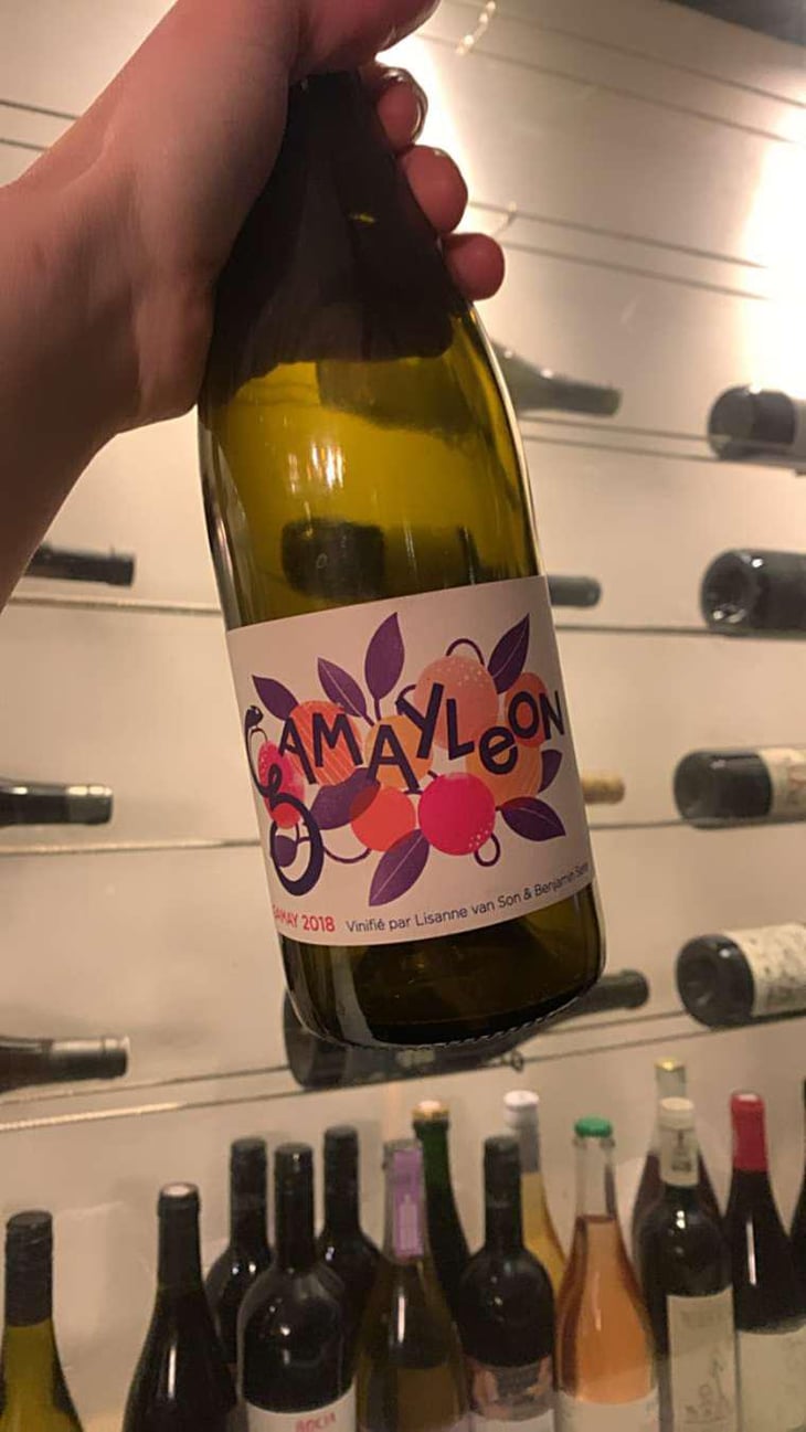 Gamayleon - Sonser Vins (CLOSED) - Lisanne Van Son & Benjamin Serer 