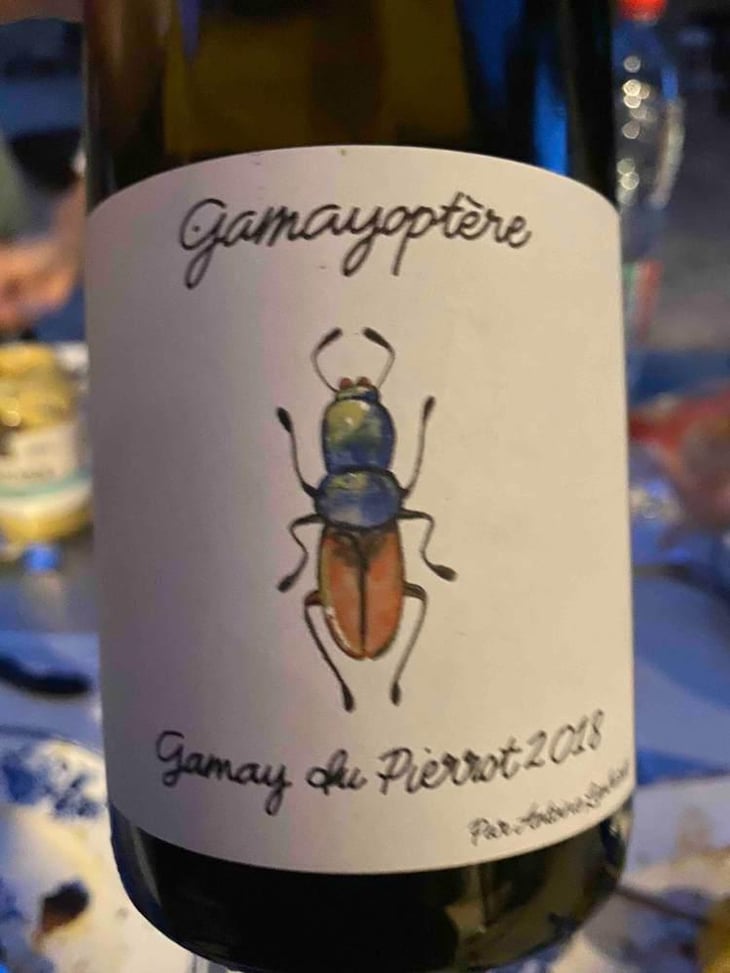 Gamayoptère - Antoine Lienhardt - Antoine Lienhardt 