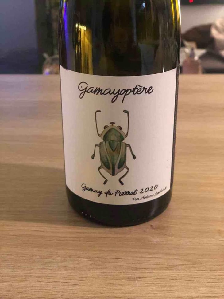 Gamayoptère - Antoine Lienhardt - Antoine Lienhardt 