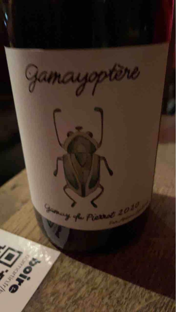 Gamayoptère - Antoine Lienhardt - Antoine Lienhardt 