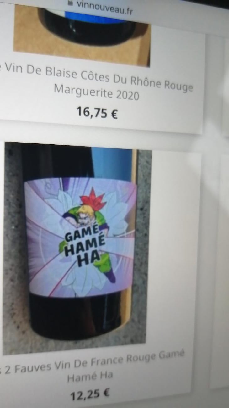 Gamé Hamé Ha - Domaine des 2 Fauves - Laura Soldan & Charles Henri Quantin -2022