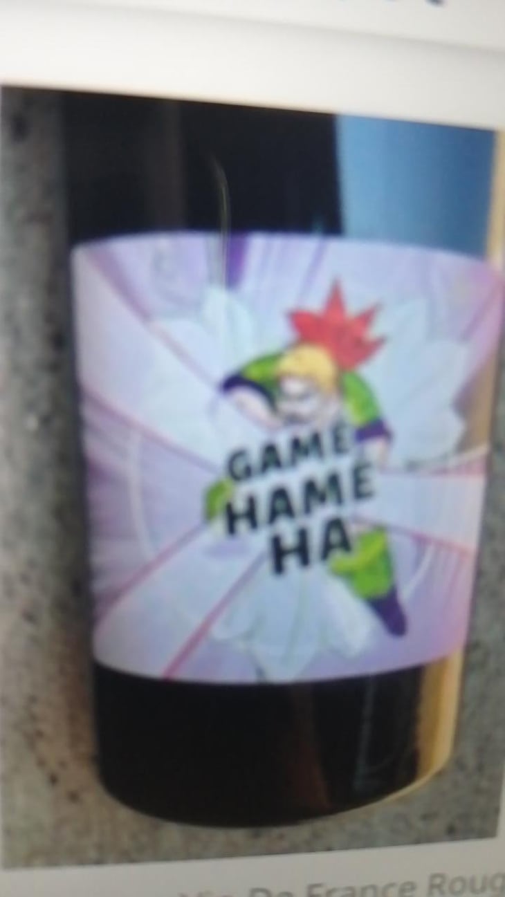 Gamé Hamé Ha - Domaine des 2 Fauves - Laura Soldan & Charles Henri Quantin -2022