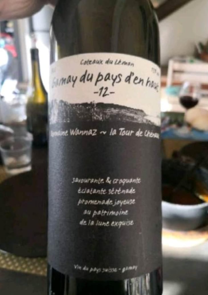 Gamay du Pays d'En Haut - Domaine Wannaz - Gilles Wannaz 