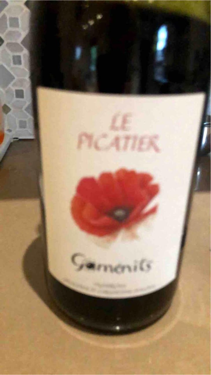 Gaménits - Le Picatier - Géraldine & Christophe Pialoux 