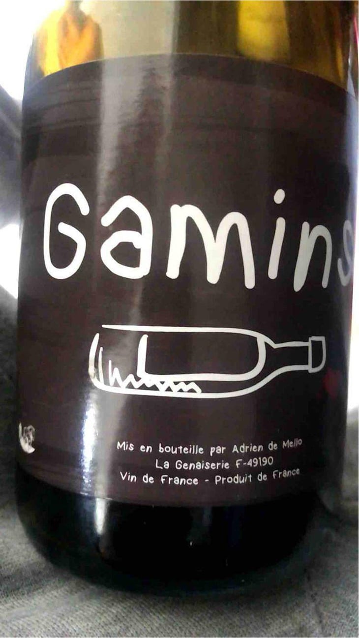 Gamins - Domaine de la Petite Soeur - Adrien de Mello 