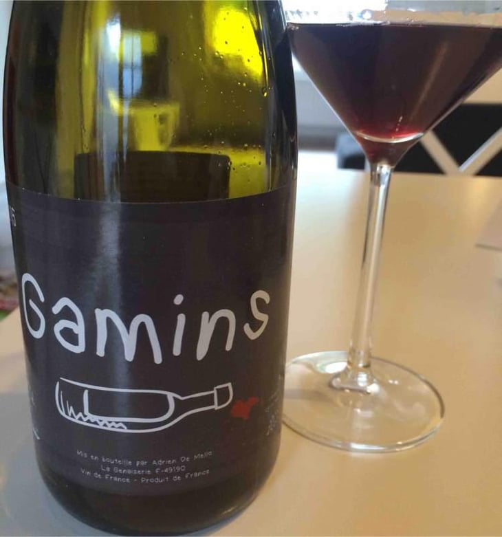 Gamins - Domaine de la Petite Soeur - Adrien de Mello 