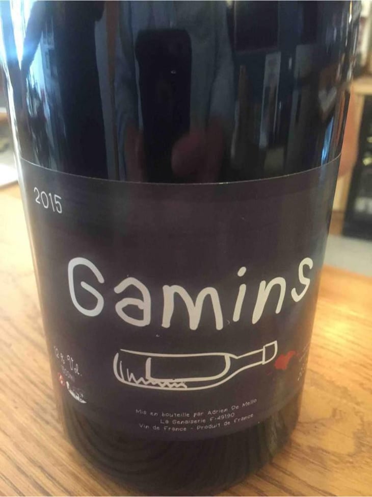 Gamins - Domaine de la Petite Soeur - Adrien de Mello 