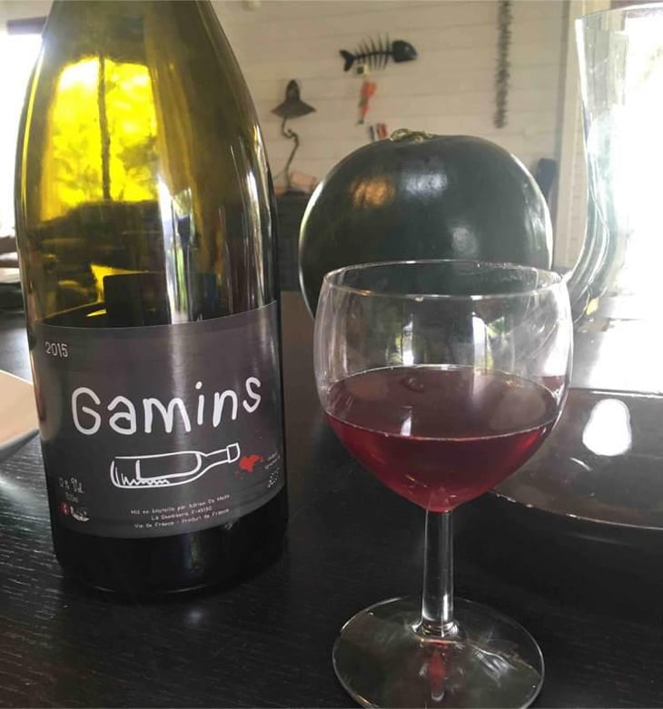 Gamins - Domaine de la Petite Soeur - Adrien de Mello 
