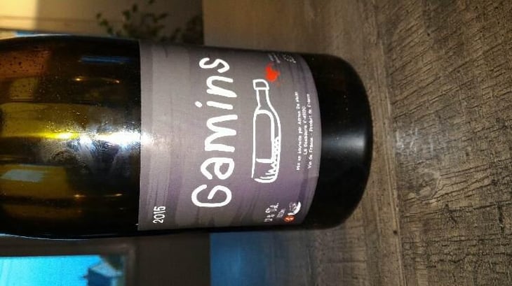 Gamins - Domaine de la Petite Soeur - Adrien de Mello 