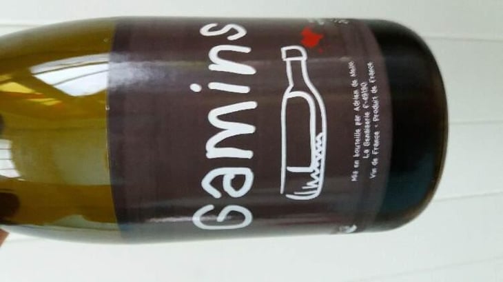 Gamins - Domaine de la Petite Soeur - Adrien de Mello 