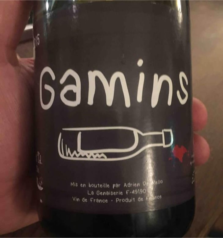 Gamins - Domaine de la Petite Soeur - Adrien de Mello 